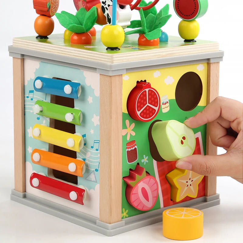 Montessori Wooden Multifunction Toy