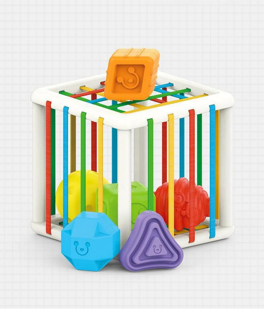 Montessori Educational Cube