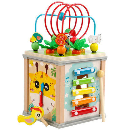 Montessori Wooden Multifunction Toy