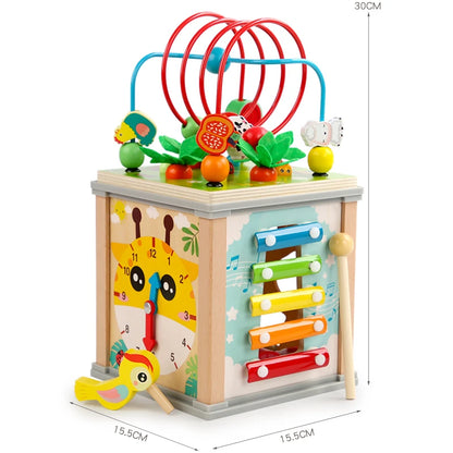 Montessori Wooden Multifunction Toy